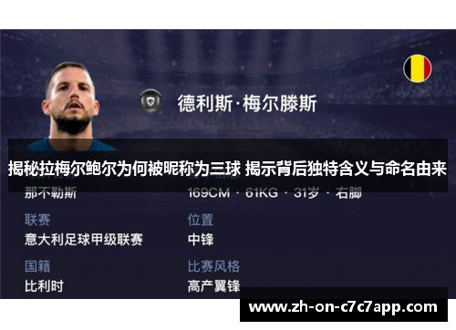 揭秘拉梅尔鲍尔为何被昵称为三球 揭示背后独特含义与命名由来