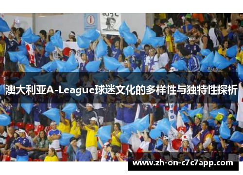 澳大利亚A-League球迷文化的多样性与独特性探析